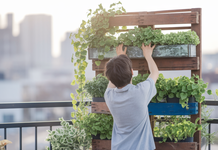 Comment créer un jardin vertical à partir de matériaux récupérés ?